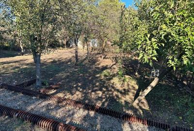 Casă cu 3 camere în Peștișu Mare - 7