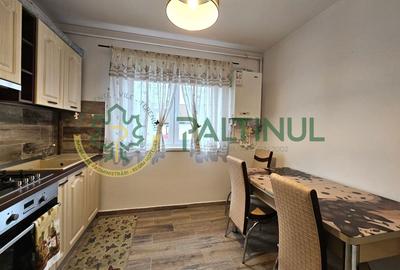 Apartament cu 2 camere decomandat, mobilat în Exterior Est - 8
