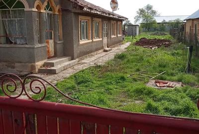 Casă cu 5 camere cu Teren 3330 Mp în Caracal - 1