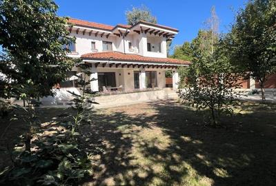 Casă individuală cu 6 camere cu Canalizare în Iancu Nicolae - 26