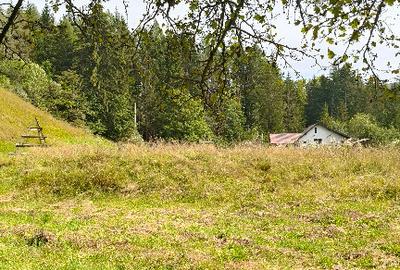 Teren intravilan Valea Doftanei - 4