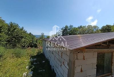 Casă la gri de vânzare - Central, 2800 mp teren