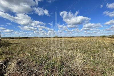 Teren de 14800 mp, în Cristian - 6