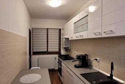 Apartament cu 2 camere semidecomandat, mobilat în Tătărași - 4