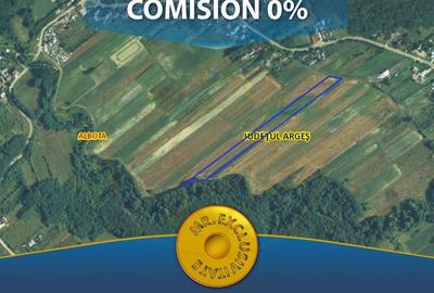 Teren 10414 mp in loc. Albota-Mares. COMISION 0% - 1