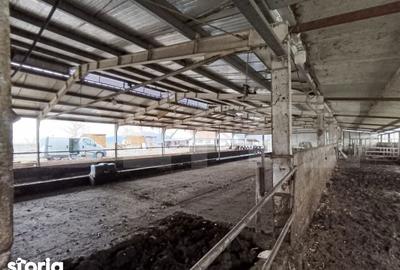 Spațiu comercial, de 6,600 mp, în Valea Lungă - 2