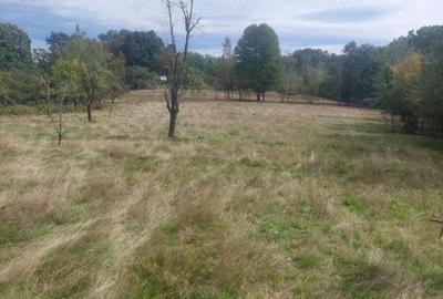 Teren 15826 mp + padure 1 ha - 11