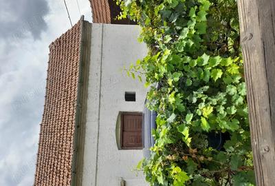 Casa de vanzare in Pocsaj Ungaria Casa de vanzare in Pocsaj Ungaria - 4