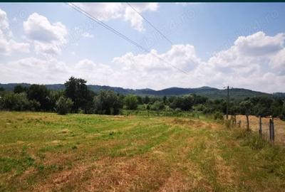 Teren de 18100 mp, în Domnești - 2