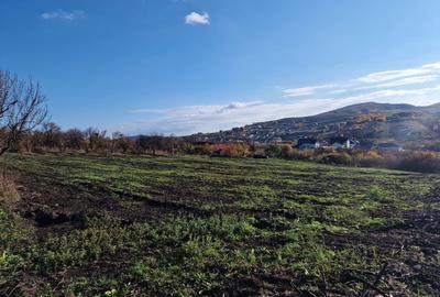 Spațiu comercial, în Central