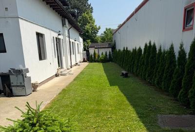 Spatiu comercial de inchiriat ultracentral - 16