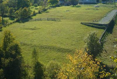 Teren de 2969 mp, în Măgura - 6