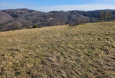 Spațiu comercial, în Damiș - 4