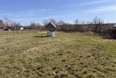 Spațiu comercial, în Păușa - 5