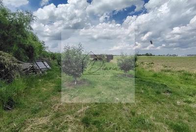 Teren intravilan Ciocanesti Cretu - 9282 mp divizat in 15 loturi - 2