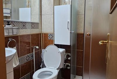 Garsonieră decomandată, mobilată în Dristor - 10