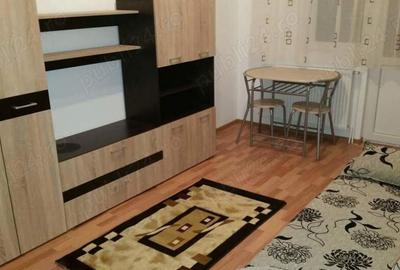 Apartament cu o camera Sagului - 2