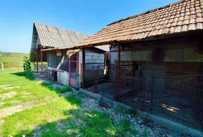 Casă cu 4 camere cu Teren 4600 Mp în Lăzăreni - 10