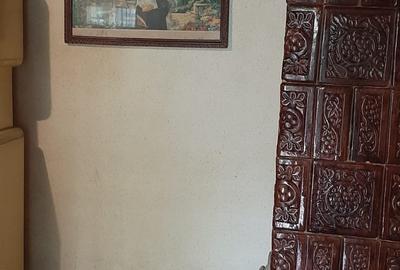 Vand casa cu 2  cam. +dependinte in Ceoasul de Campie Vand casa cu 2  cam. +dependinte in Ceoasul de Campie - 5