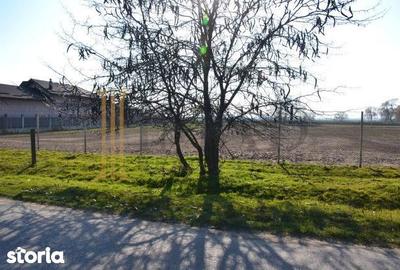 Teren de 5600 mp, în Sălcioara - 3