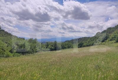 Teren de 28500 mp, în Gușterița - 6