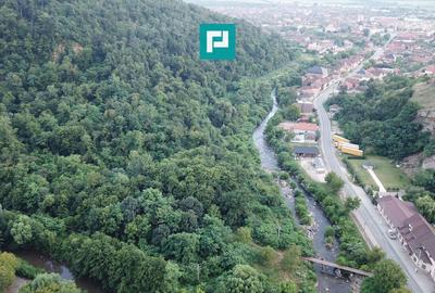Teren Construcții intravilan de 13861 mp, în Est - 15