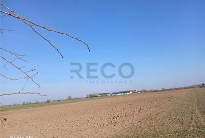 RECO Teren intravilan aproape de zona industriala Biharia - 4