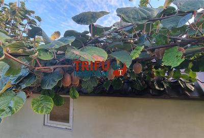 Casa de vanzare pretabila pentru 2 familii situata in proximitatea Cetatii Alba - 29