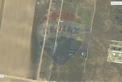 Teren de 10000 mp, în Cârcea - 1