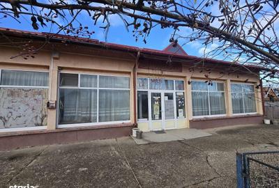 Spațiu comercial, de 287 mp, în Buciumi - 19