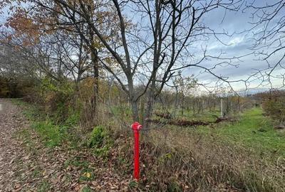 Teren intravilan 3.000 mp, 2 fronturi, Valea Jelnei - 3