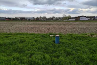 Spațiu comercial, în Lipia - 3