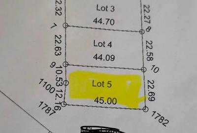 Teren de 500 mp, în Nufăru - 2