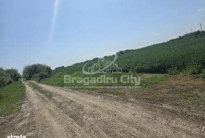 Spațiu comercial, în Ordoreanu - 4