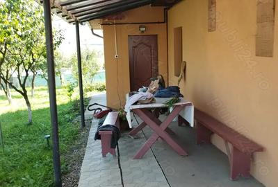 Casa noua, de vanzare, langa Ludu?, Bogata-Ranta - 8