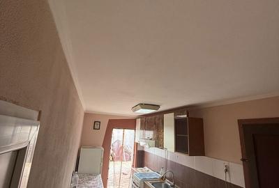 Casă cu 1 camere în Nicolae Bălcescu - 3