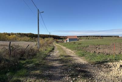 Spațiu comercial, în Păușa - 2