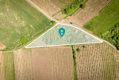 Teren extravilan - 3654 mp Dealul Șiriei - 2