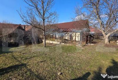 Casă cu 3 camere cu Teren 3000 Mp în Central - 4