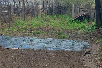 Casă cu Teren 1100 Mp în Cârbești - 5