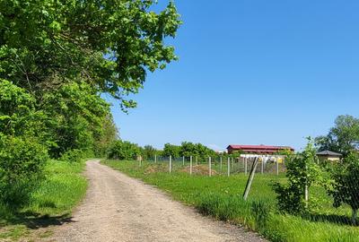 Teren Construcții intravilan de 30688 mp, în Snagov - 5