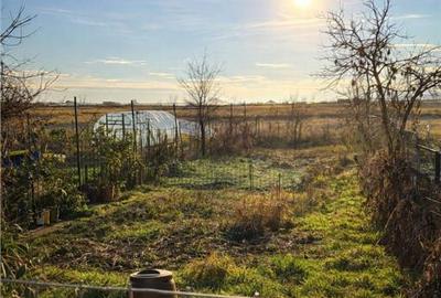 Gospodarie cu atmosfera traditionala,sursa proprie apa,pivni - 5