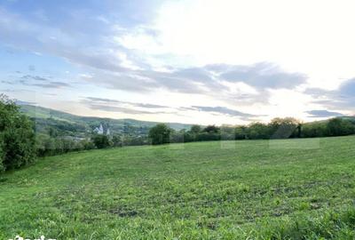 Teren de 21450 mp, în Moldovenești - 3
