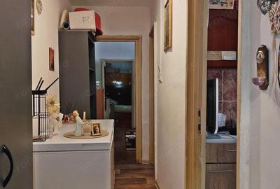 Apartament cu 3 camere semidecomandat în Nufărul