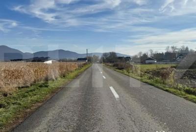 Teren de 5300 mp, în Arcalia - 1