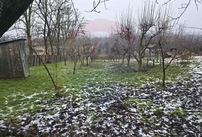 Teren Construcții intravilan de 4516 mp, în Doina - 22