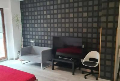 Berceni huedin demisol fara bucatarie - 4