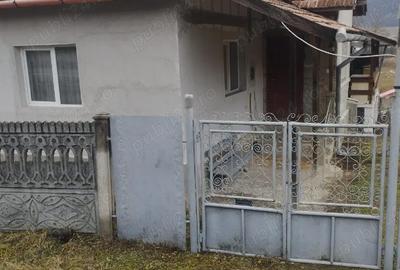 Casă cu Teren 1800 Mp în Racâș - 1