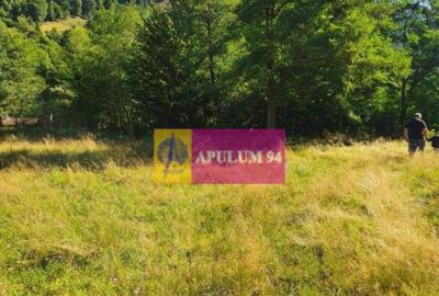 Teren Jude?ul Valcea - Brezoi, Valea lui Stan - 16