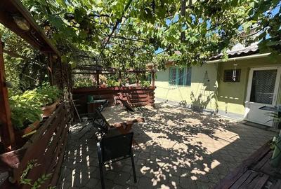 Casa cu teren 1394 mp zona Mehala - 14